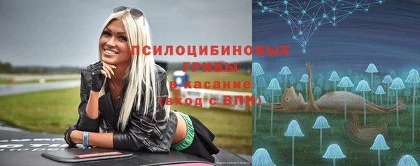 марки lsd Богородицк