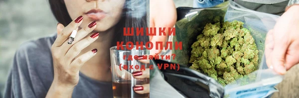 метадон Богданович