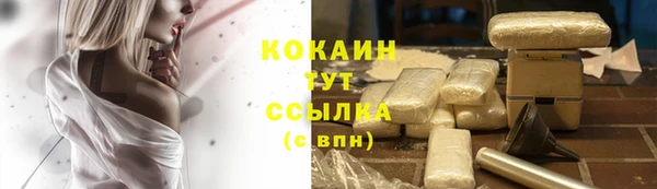 а пвп мука Бородино