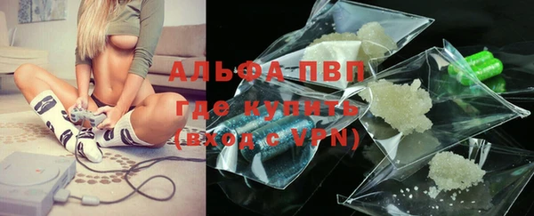 метадон Богданович